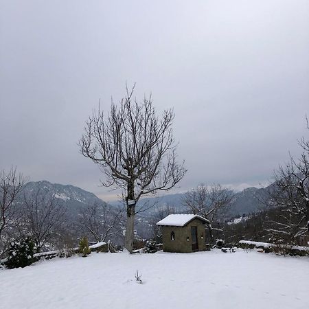 Παραδοσιακή Πέτρινη Κατοικία Στην Βλάχα Ελάτης Exterior photo