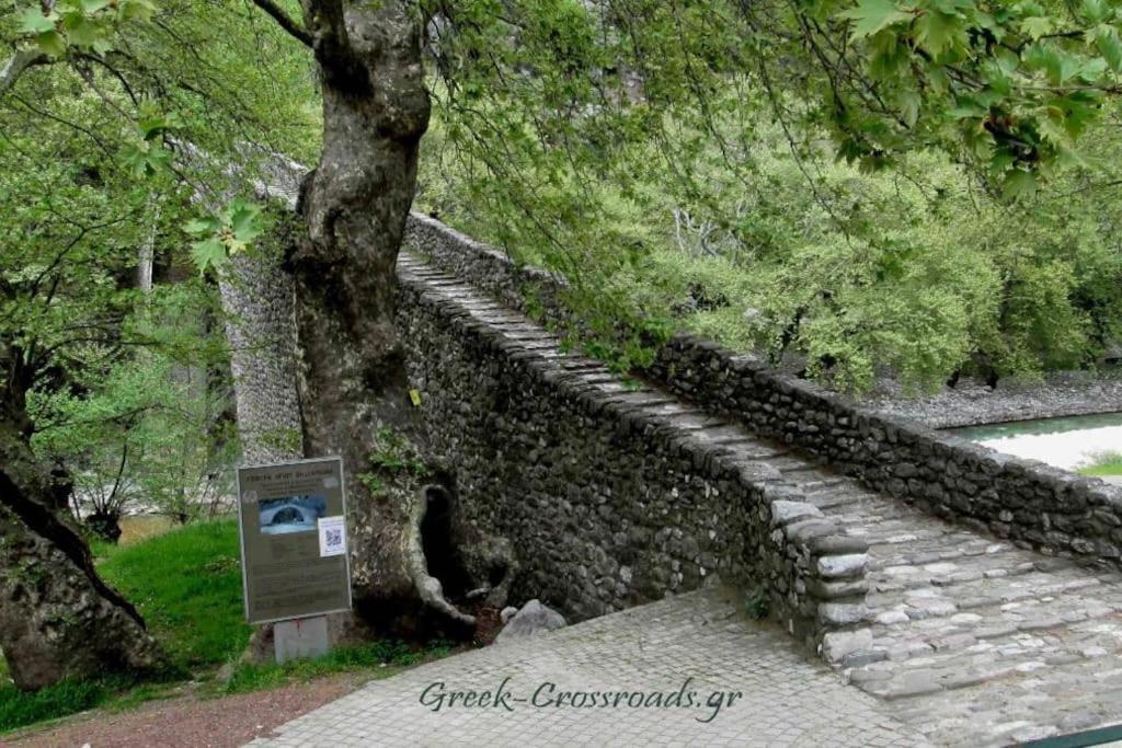 Παραδοσιακή Πέτρινη Κατοικία Στην Βλάχα Ελάτης Exterior photo