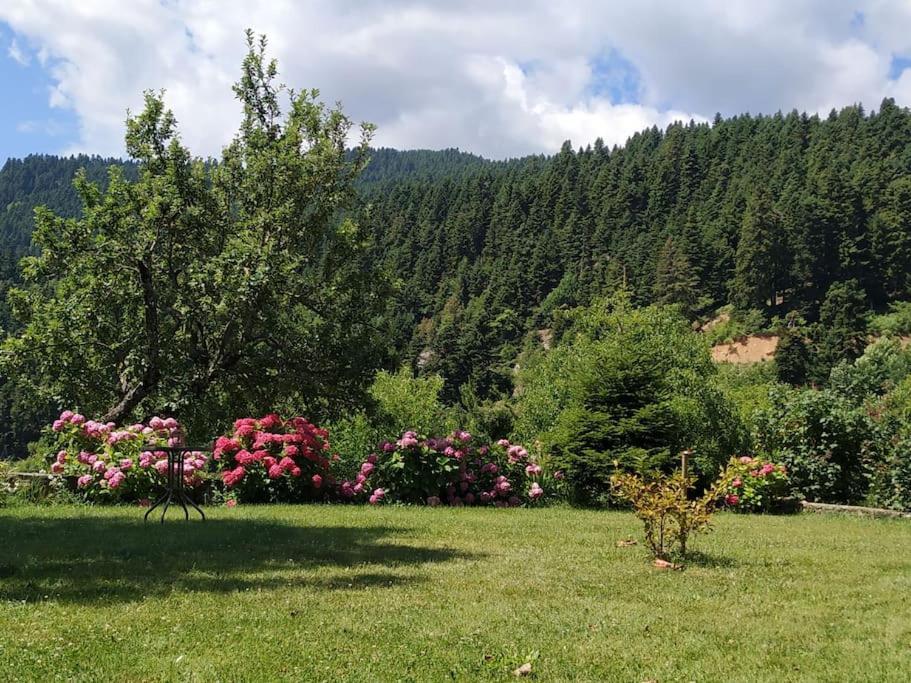 Παραδοσιακή Πέτρινη Κατοικία Στην Βλάχα Ελάτης Exterior photo